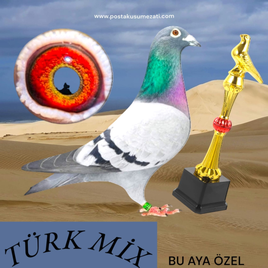 BU AYA ÖZEL TÜRK MİX